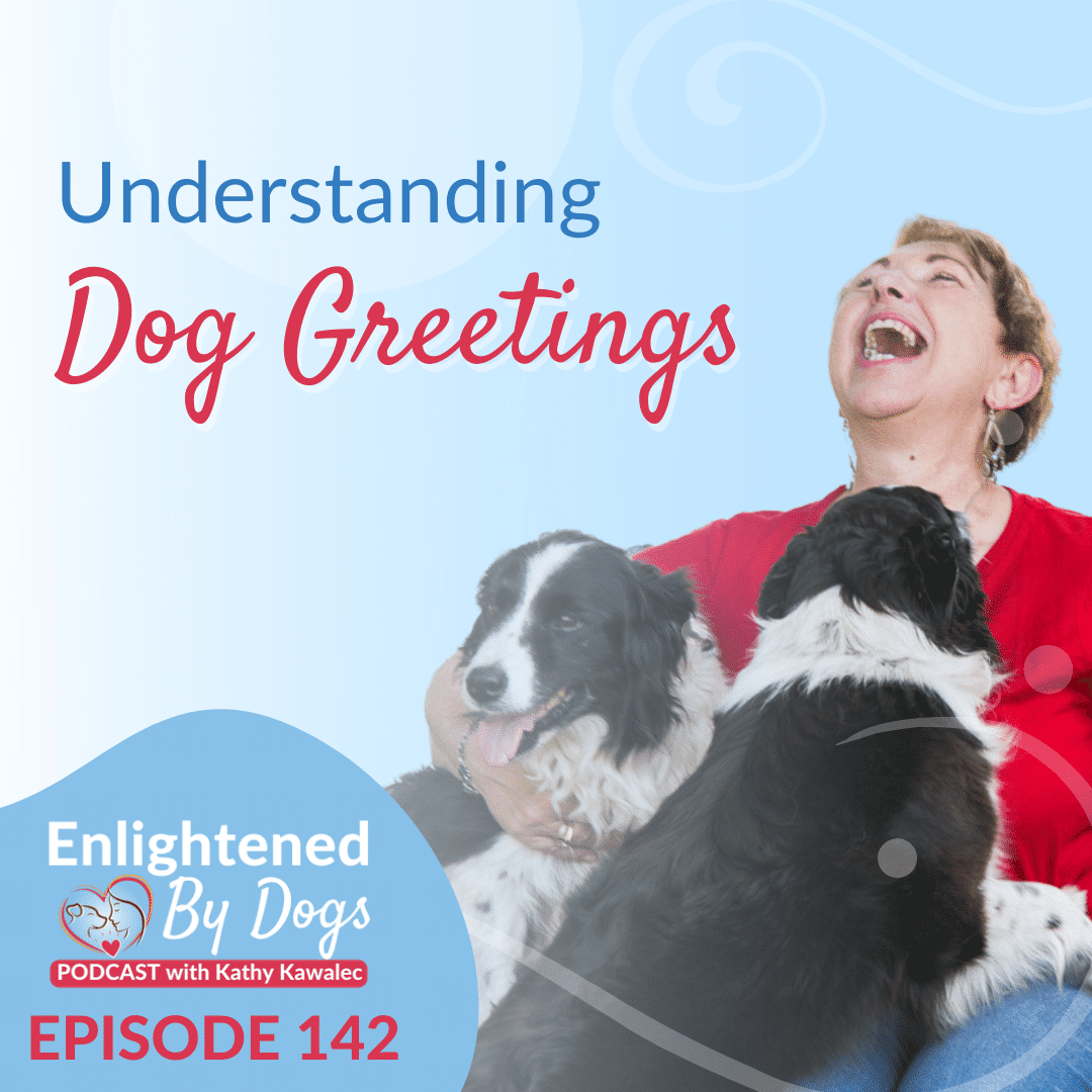 Understanding Dog Greetings