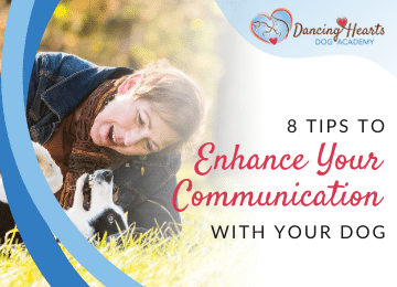 8 Tips to Enhance Your Communication with Your Dog