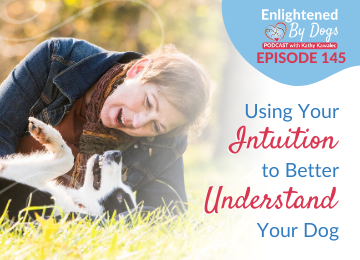 Using Your Intuition to Better Understand Your Dog