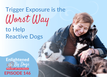 Trigger Exposure is the Worst Way to Help Reactive Dogs