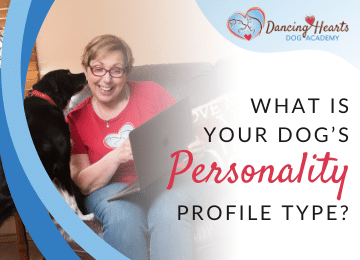 What is Your Dog’s Personality Profile Type?