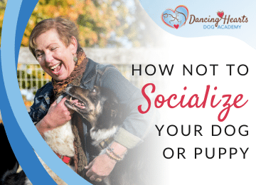 How Not to Socialize Your Dog or Puppy