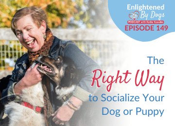 EBD149 The Right Way to Socialize Your Dog or Puppy