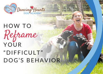 How to reframe your “difficult” dog’s behavior