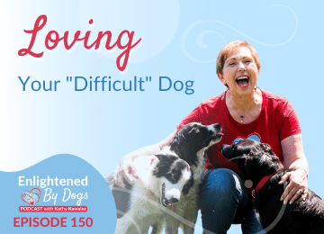 Loving Your “Difficult” Dog