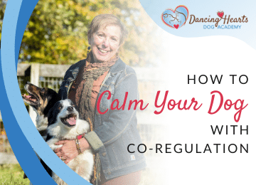 How to Calm Your Dog With Co-Regulation