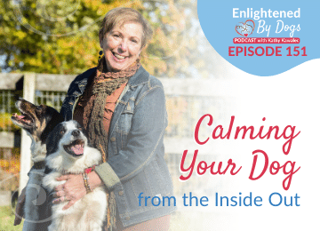 Calming Your Dog from the Inside Out