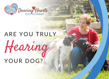 Are you truly hearing your dog?