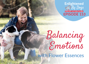 EBD153 Balancing Emotions with Flower Essences