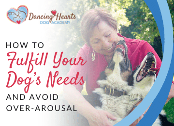 How to Fulfill Your Dog’s Needs and Avoid Over-Arousal