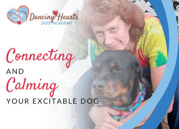 Connecting and Calming Your Excitable Dog