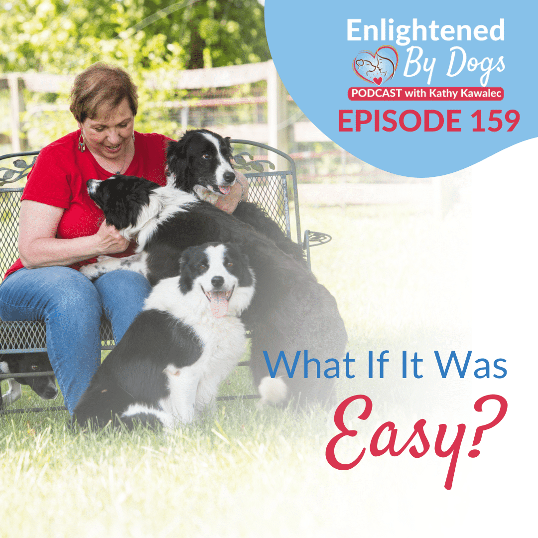 EBD159 What If It Was Easy?