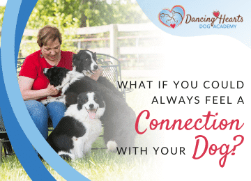 What If You Could Always Feel a Connection with Your Dog?