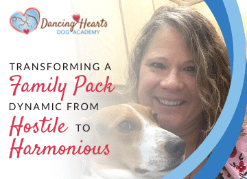 Transforming a Family Pack Dynamic from Hostile to Harmonious