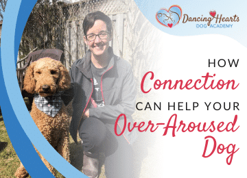 How Connection Can Help Your Over-Aroused Dog