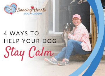 4 Ways to Help Your Dog Stay Calm