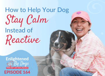 EBD164 How to Help Your Dog Stay Calm Instead of Reactive