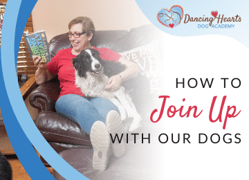 How to Join Up with Our Dogs