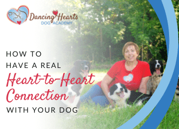 How to Have a Real Heart-to-Heart Connection with Your Dog