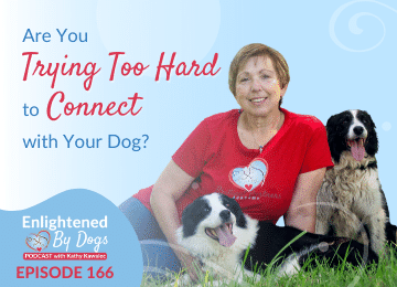 EBD166 Are You Trying Too Hard to Connect with Your Dog?
