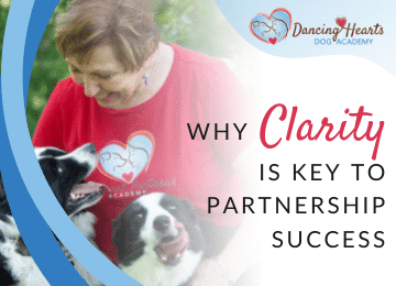 Why Clarity is Key to Partnership Success