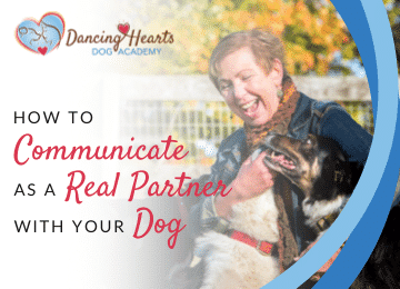 How to Communicate as a Real Partner with Your Dog