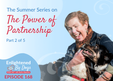 The Summer Series on The Power of Partnership - Part 2 of 5