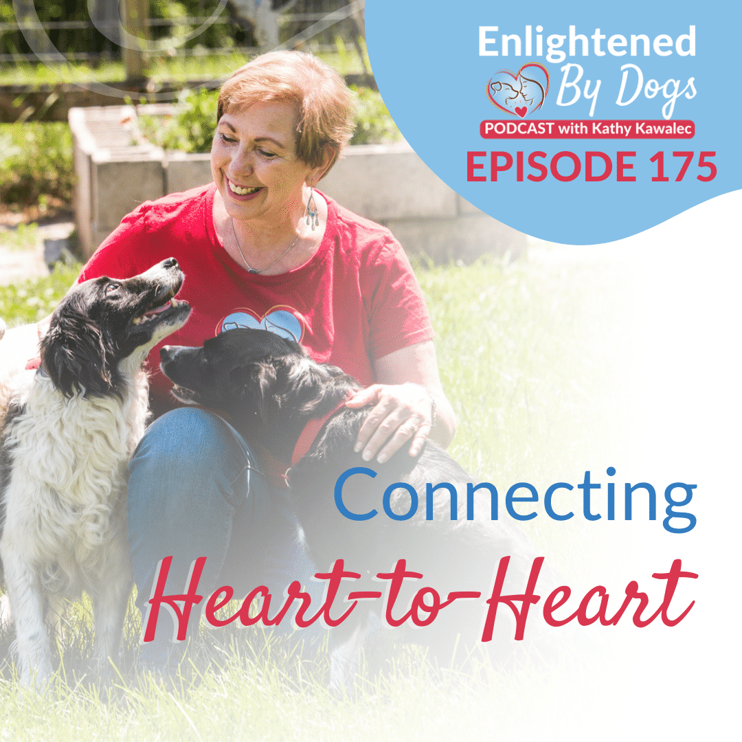 EBD175 Connecting Heart-to-Heart