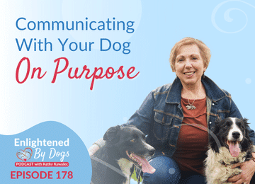 Communicating With Your Dog On Purpose