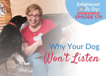 EBD179 Why Your Dog Won’t Listen