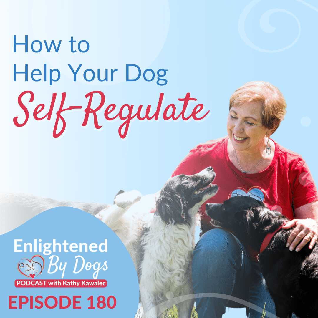 EBD180 How to Help Your Dog Self-Regulate