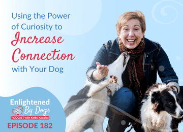 EBD182 Using the Power of Curiosity to Increase Connection with Your Dog