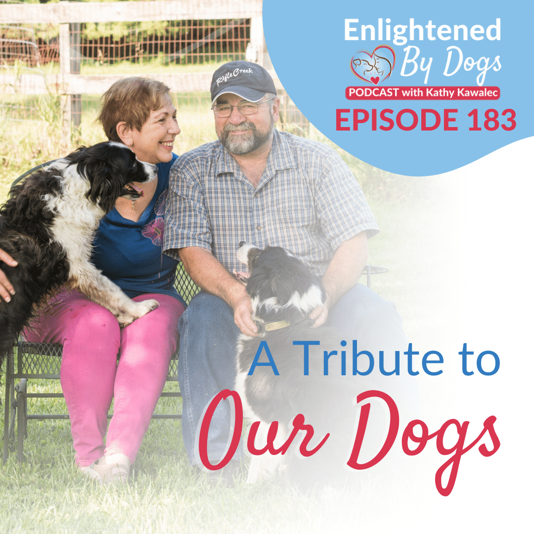 EBD183 A Tribute to Our Dogs