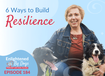 EBD184 6 Ways to Build Resilience