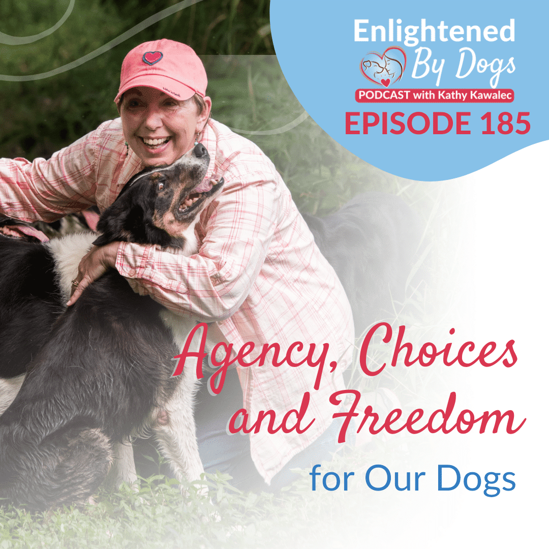 Agency, Choices and Freedom for Our Dogs
