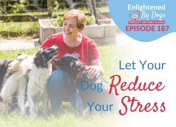 EBD187 Let Your Dog Reduce Your Stress