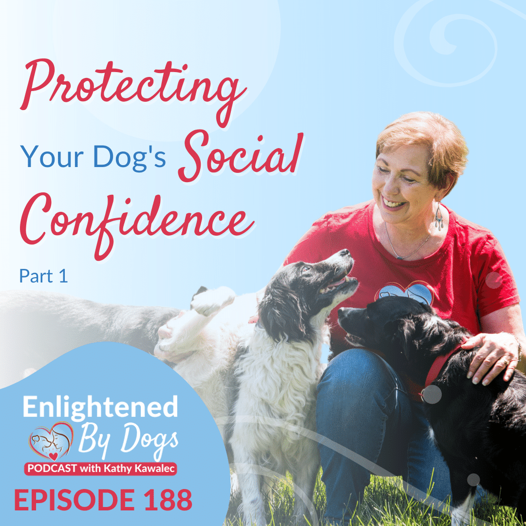 EBD188 Protecting Your Dog's Social Confidence - Part 1