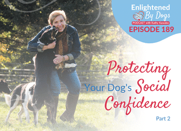 EBD189 Protecting Your Dog's Social Confidence - Part 2