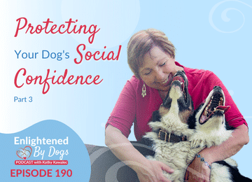 EBD190 Protecting Your Dog's Social Confidence - Part 3