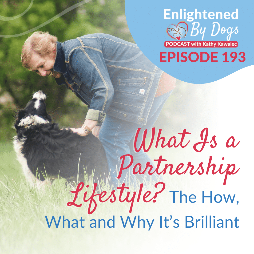 EBD193 What Is a Partnership Lifestyle? The How, What and Why It’s Brilliant