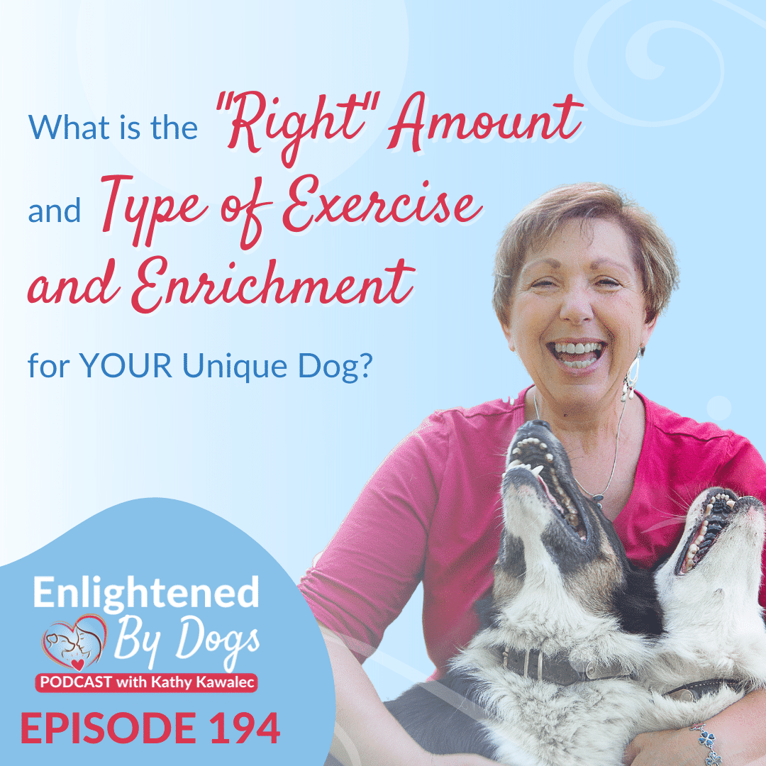 EBD194 - What is the "Right" Amount and Type of Exercise and Enrichment for YOUR Unique Dog?