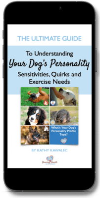 The ultimate guide to understanding your dog's personality pdf