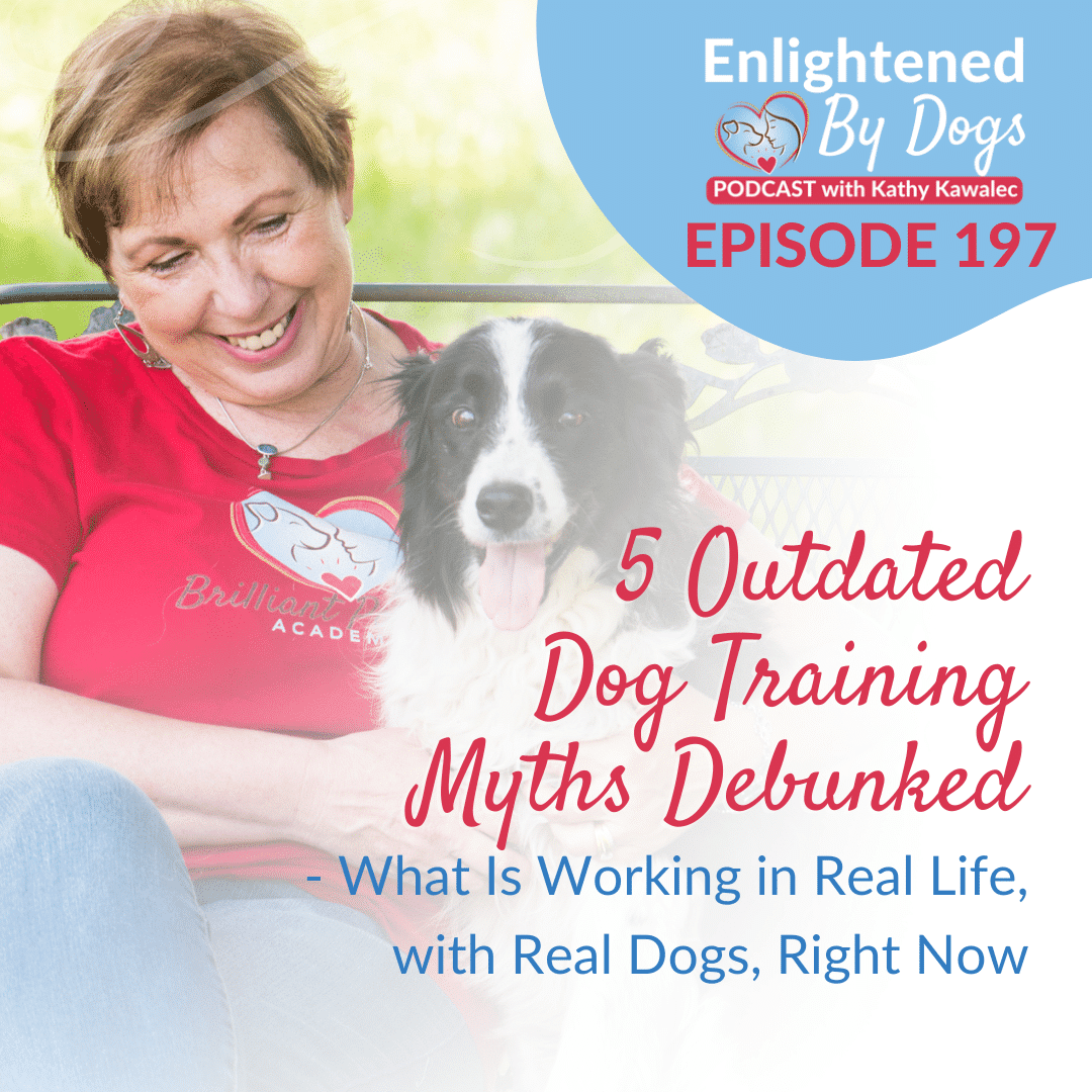 EBD197 5 Outdated Dog Training Myths Debunked - What Is Working in Real Life, with Real Dogs, Right Now