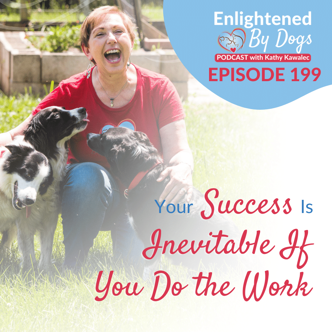 EBD199 Your Success Is Inevitable If You Do the Work