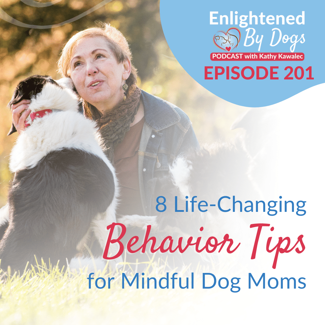 EBD201 8 Life-Changing Behavior Tips for Mindful Dog Moms