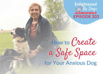 EBD203 How to Create a Safe Space for Your Anxious Dog