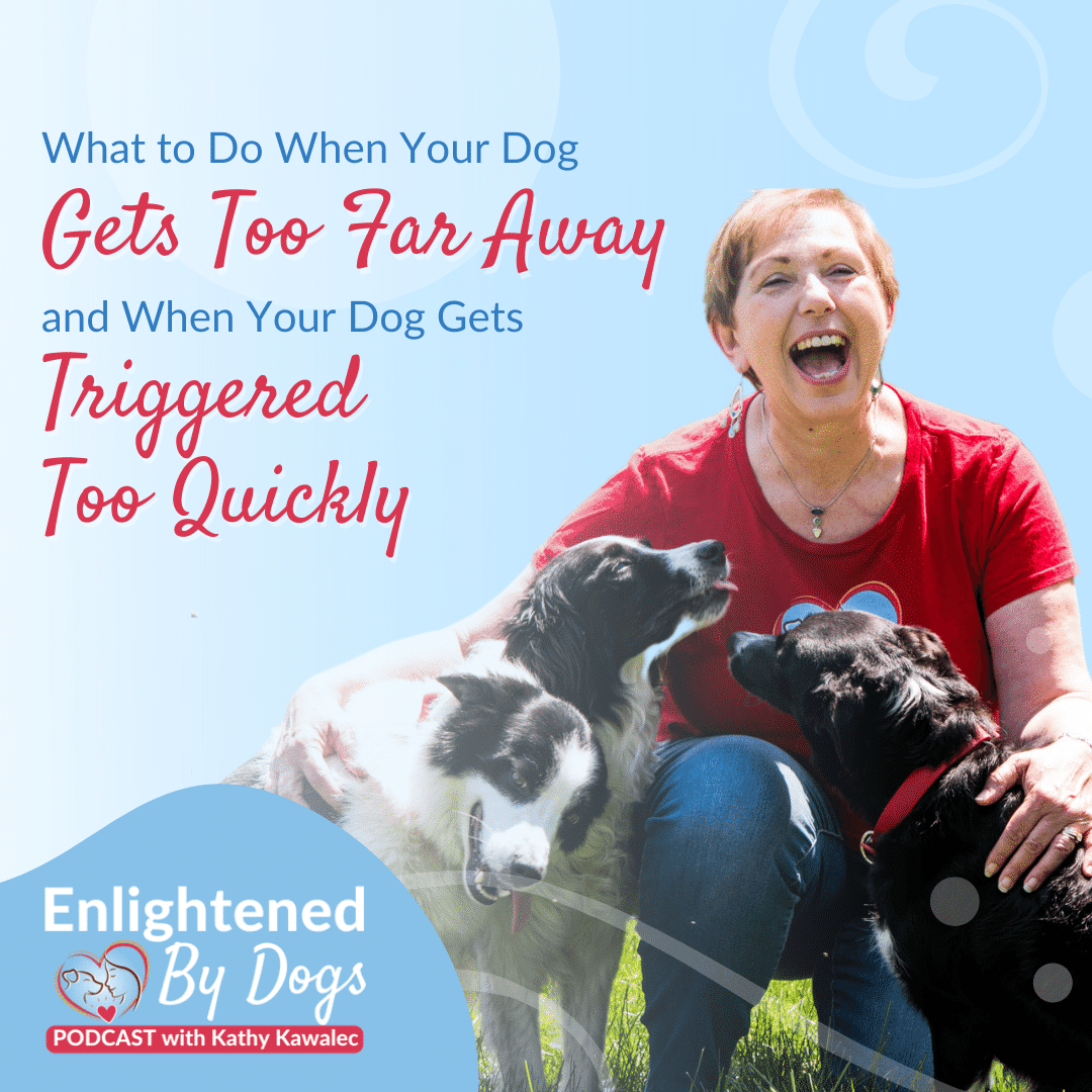 EBD204 What to Do When Your Dog Gets Too Far Away and When Your Dog Gets Triggered Too Quickly