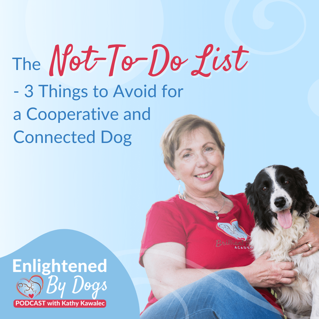 EBD208 The Not-To-Do List - 3 Things to Avoid for a Cooperative and Connected Dog