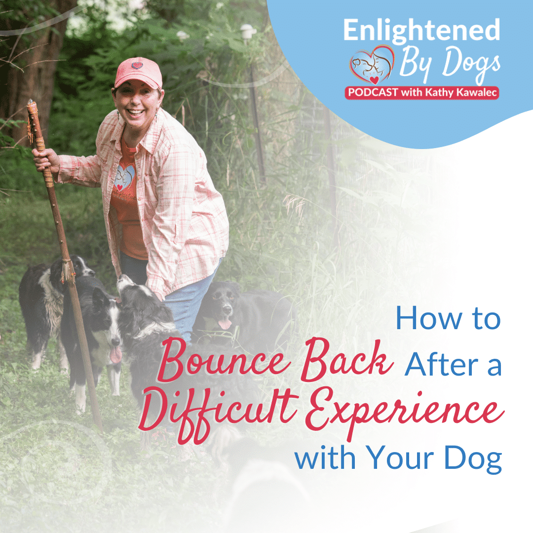 EBD209 How to Bounce Back After a Difficult Experience with Your Dog
