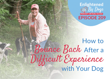 EBD209 How to Bounce Back After a Difficult Experience with Your Dog
